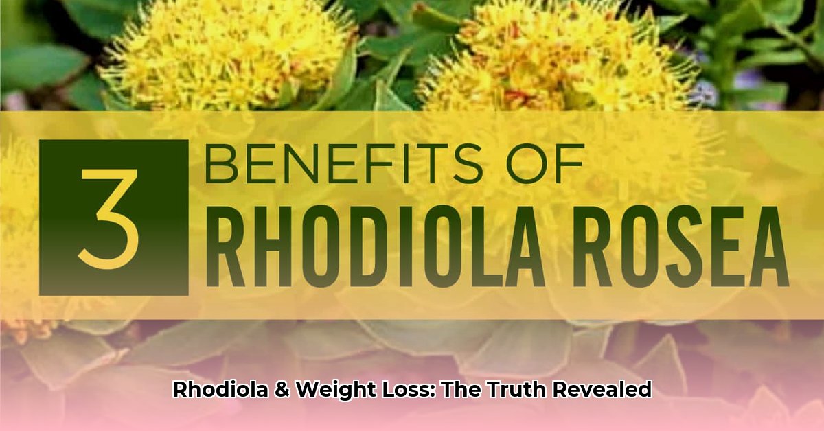 best-rhodiola-supplement-for-weight-loss